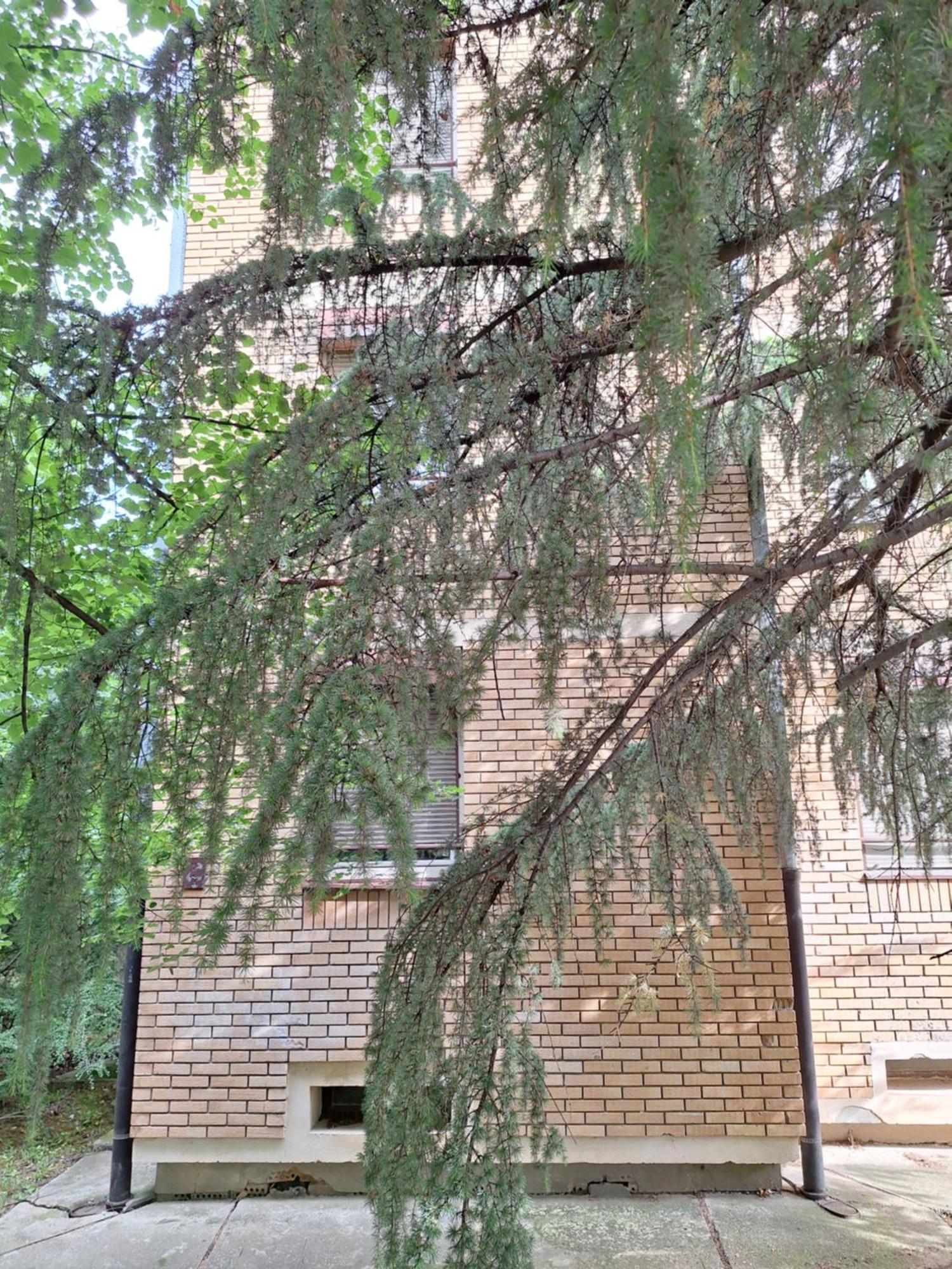 Rivijera Apartment Belgrade